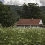 Island Attitude Photography - Roanoke, VA